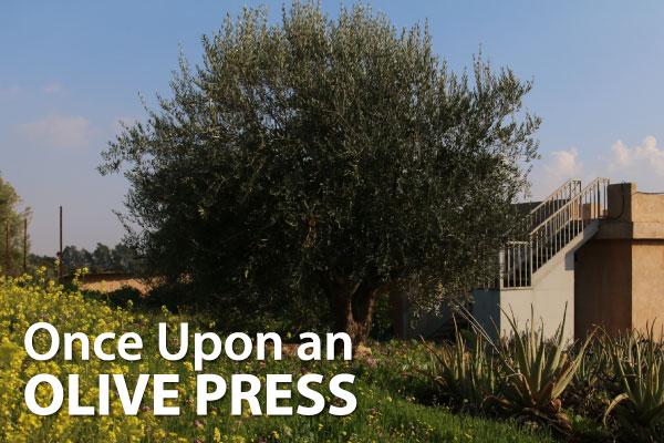 Once Upon an Olive Press